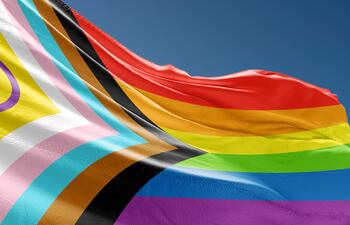 Bandera de la comunidad intersexual.