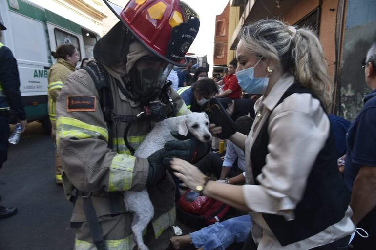 Bombero con casco y mascarilla sostiene un perro pequeño, mientras una mujer con camisa clara intenta ayudarlo en una escena de rescate.