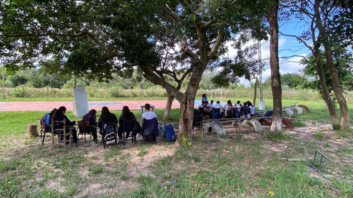 Clase bajo árboles: padres convocan a reunión en Concepción