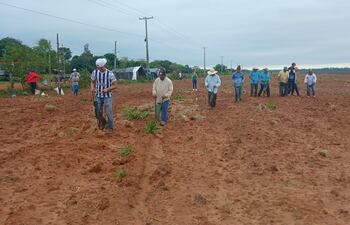 Campesinos invaden y cultivan inmueble de 300 hectáreas en Santa Rosa del Aguaray.