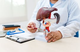 Concepto de salud del hígado.