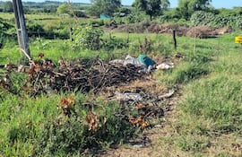Vecinos del barrio Virgen de Lourdes reclaman la falta de limpieza de patios baldíos y advierten riesgos sanitarios por la proliferación de mosquitos y alimañas.