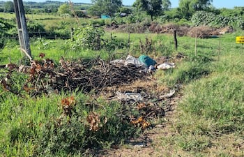 Vecinos del barrio Virgen de Lourdes reclaman la falta de limpieza de patios baldíos y advierten riesgos sanitarios por la proliferación de mosquitos y alimañas.