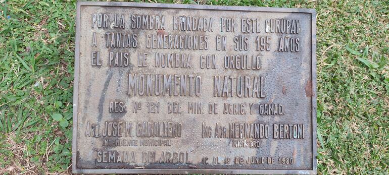 En 1980 el ministerio de Agricultura y Ganadería (MAG) declaró al añoso kurupa’y como “monumento natural”.