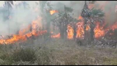 Incendio de grandes proporciones en la zona de San Francisco, a unos 25 kilómetros del casco urbano de Fuerte Olimpo.