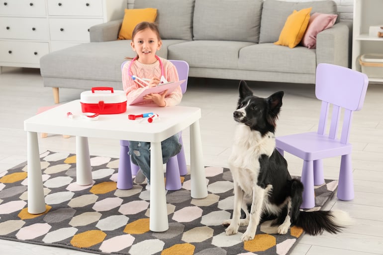 Perro border collie con una niña.