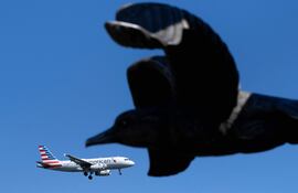 Imagen ilustrativa de un avión de American Airlines.