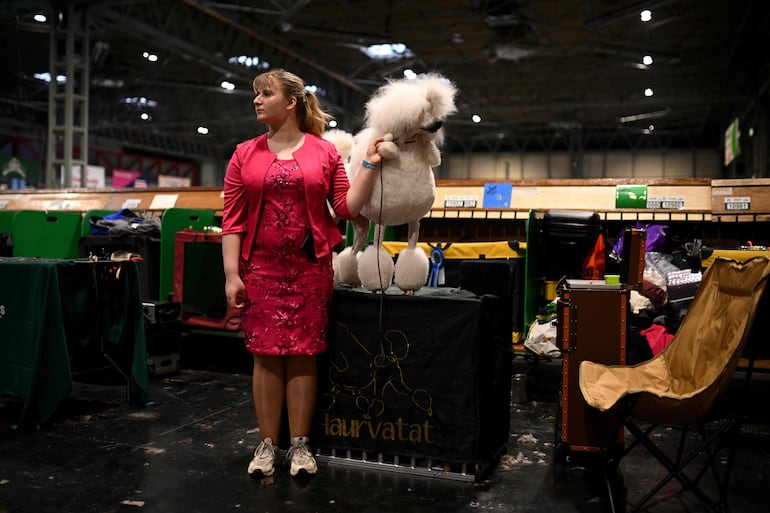 Una cuidadora espera con su caniche estándar en el tercer día del Crufts, la exposición canina, en el National Exhibition Centre de Birmingham, en el centro de Inglaterra, el 7 de marzo de 2026.
