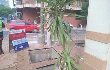 Obras de recuperación de veredas en el microcentro asunceno.