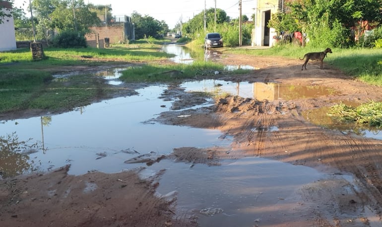 Calle de Mariano Roque Alonso.