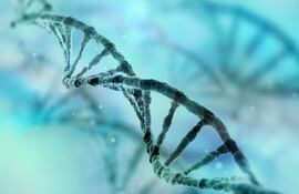 Hebra de ADN, imagen ilustrativa.
