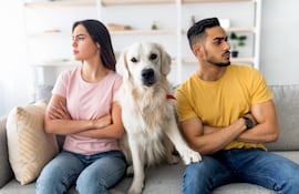 Perro en el medio de una expareja.