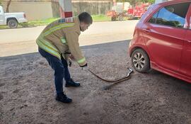 Bombero vestido con uniforme agachado, sostiene una serpiente con un gancho cerca de un automóvil rojo en un entorno urbano.