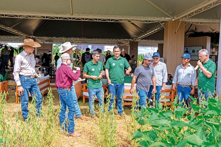 Agrotec: innovación y genética marcan el ritmo