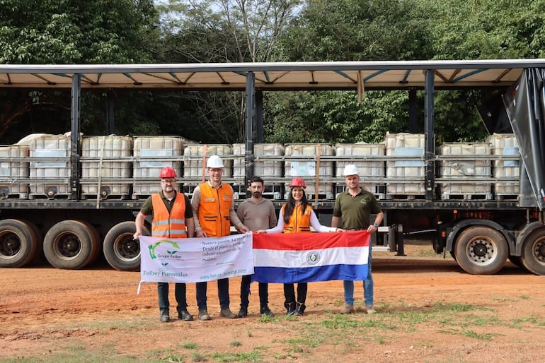 Exportación de resina de pino