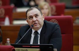 Lider Amarilla, senador del PLRA, en la sala de sesiones del Senado.