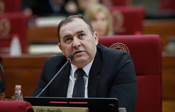 Lider Amarilla, senador del PLRA, en la sala de sesiones del Senado.
