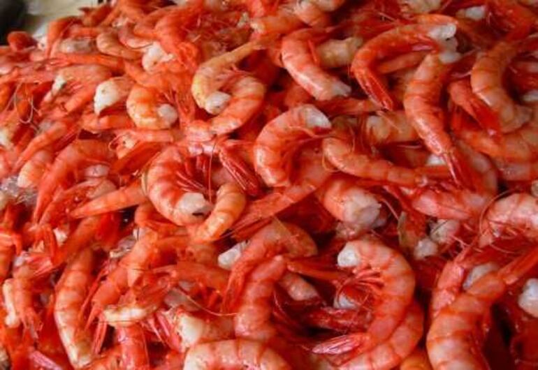 /pf/resources/images/abc-placeholder.png?d=2445