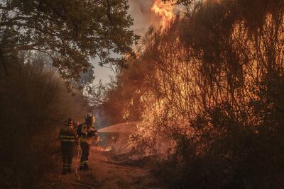 Imagen de referencia: bomberos combatiendo las llamas de un incendio forestal.