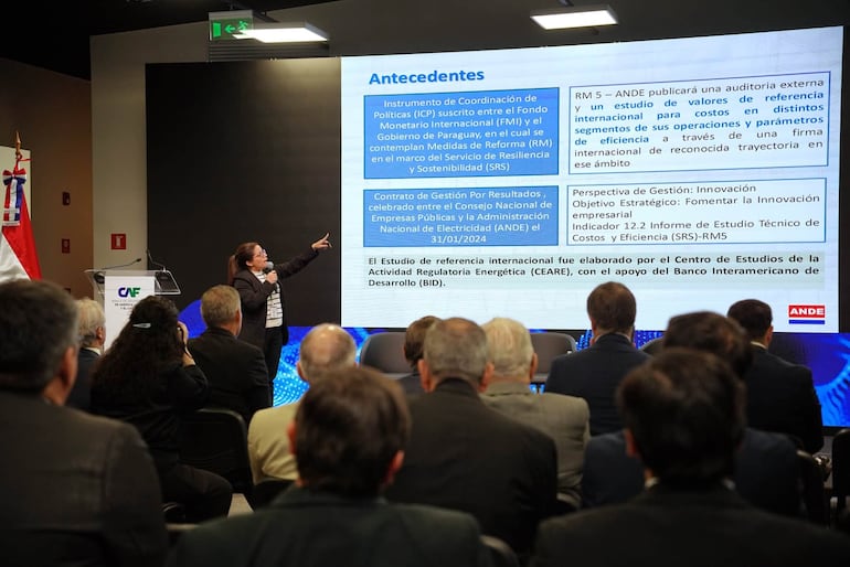 La Econ. Adriana Barrios, del Departamento de Estudio de Tarifas y Mercado de la Dirección de Planificación y Estudios de la ANDE, presentó el Estudio de valores de referencia internacional para el establecimiento de costos y tarifas eficientes.