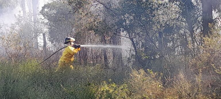 Una bombera de la compañía k55 lucha contra el fuego en medio de las malezas en el barrio Ytororo de Pilar.