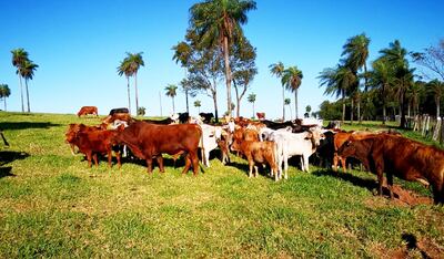 /pf/resources/images/abc-placeholder.png?d=2394