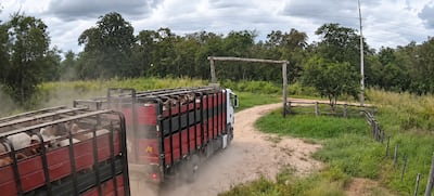 A la presión del aumento del combustible se suma el bajo movimiento en el traslado de ganado, asegura el presidente de la Asociación, Silvio Mareco.