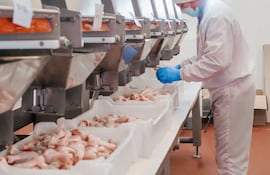 De enero a septiembre, el volumen total de las exportaciones de carne aviar registró 7.663 toneladas.