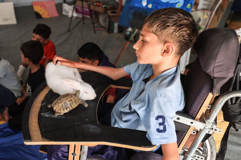 Un niño palestino desplazado con discapacidad sostiene una tortuga mientras participa en sesiones de contención psicológica en un estudio de arte que utiliza mascotas y aves para ayudar a los niños, en la zona de Al-Zawaida, en el centro de la Franja de Gaza, el 21 de abril de 2026.