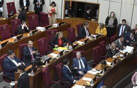 Pleno de la Cámara de Senadores.