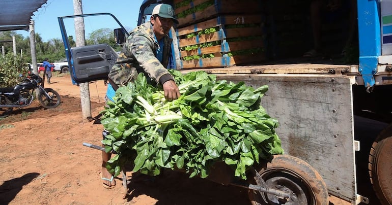 El ministro reconoció dificultades de preparación y mantenimiento de tractores en algunas organizaciones. Foto: gentileza MAG.