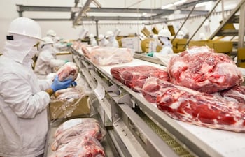La carne vacuna y sus principales sustitutos tuvieron un alto impacto para la inflación de enero pasado.