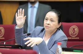 La senadora Yolanda Paredes, de Cruzada Nacional intentó modificar su proyecto para que también sea declarada emergencia nacional por los focos de incendio.