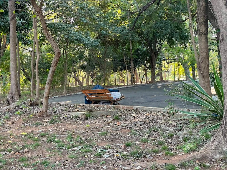 Banco de madera cubierto parcialmente en un parque, rodeado de árboles y hojas caídas en un ambiente de tranquilidad.