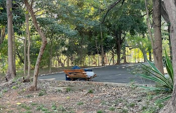 Banco de madera cubierto parcialmente en un parque, rodeado de árboles y hojas caídas en un ambiente de tranquilidad.