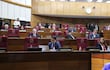 Sesión del Senado, vista de la bancada opositora.