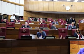 Sesión del Senado, vista de la bancada opositora.