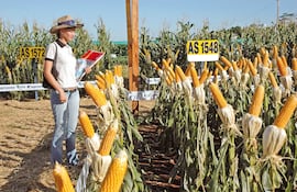 La historia detrás de Agrodinámica