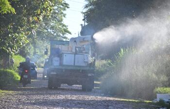 La doctora Andrea Ojeda, directora de Vigilancia de la Salud, aseguró que Paraguay se encuentra en un período interepidémico del dengue.