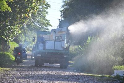 La doctora Andrea Ojeda, directora de Vigilancia de la Salud, aseguró que Paraguay se encuentra en un período interepidémico del dengue.