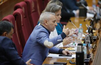 Diputado Daniel Centurión (ANR, FR).