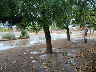 La seca tierra, efecto de la sequía, se encarga de drenar con rapidez la poca agua de lluvia de esta mañana en Fuerte Olimpo.