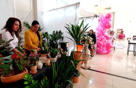 Una gran cantidad de mujeres muestran su emprendimiento en la Expo Emprende de Ciudad del Este.