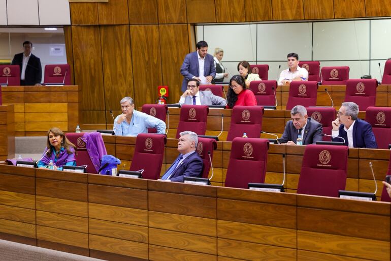 Parte de los legisladores presentes durante la defensa del PGN 2027 del MEC.