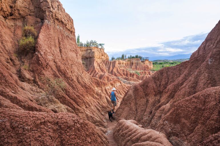 Desierto de la Tatacoa, Colombia.