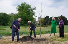 El rey Carlos III de Gran Bretaña y el rey Carlos XVI Gustavo de Suecia, flanqueados por la reina Camila de Gran Bretaña y la reina Silvia de Suecia, plantan un roble sueco en el Home Park.
