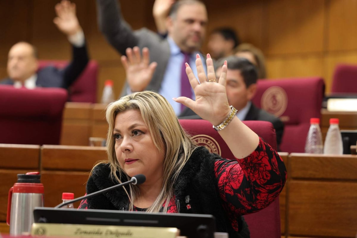 Constitucionales convoca el lunes a Zenaida Delgado