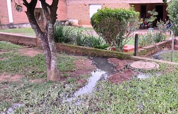 Jardín residencial con césped, plantas y un charco de aguas estancadas junto a un acceso de alcantarillado.