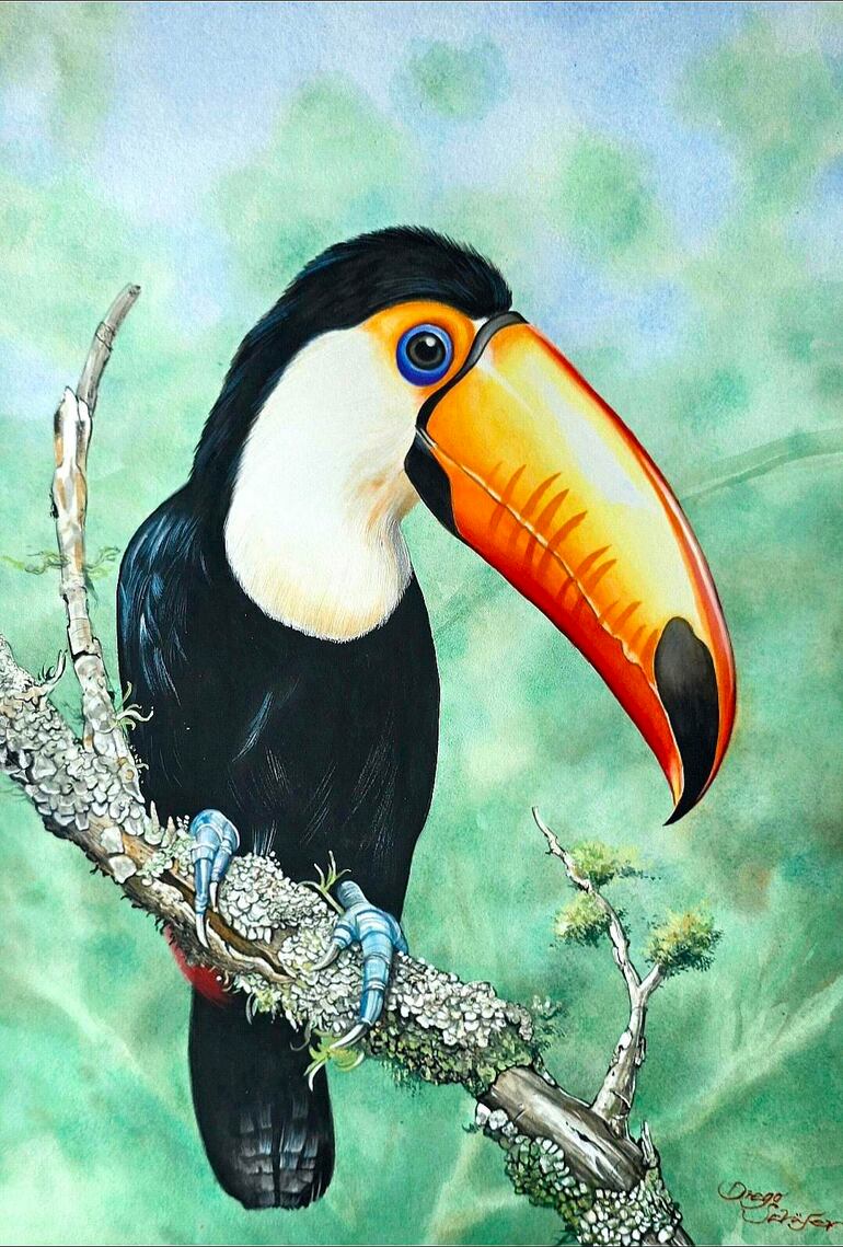 Tucán posado sobre rama, con plumaje colorido y pico anaranjado. Fondo desenfocado sugiere un entorno natural.