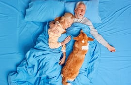 Perro en la cama de sus humanos.